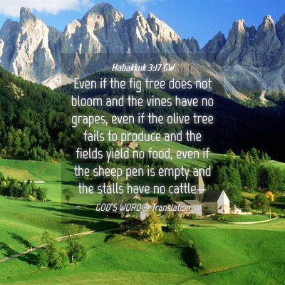 Picture 04 - Habakkuk 3:17 GW - Even if the fig tree does not bloom and the vines - Bible Verse Picture