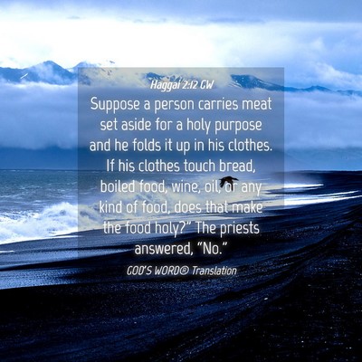 Picture 04 - Haggai 2:12 GW - Suppose a person carries meat set aside for a - Bible Verse Picture