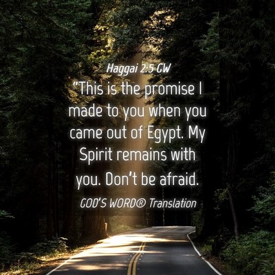 Picture 04 - Haggai 2:5 GW - “This is the promise I made to you when you - Bible Verse Picture