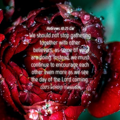 Picture 04 - Hebrews 10:25 GW - We should not stop gathering together with other - Bible Verse Picture