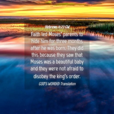Picture 04 - Hebrews 11:23 GW - Faith led Moses’ parents to hide him for three - Bible Verse Picture