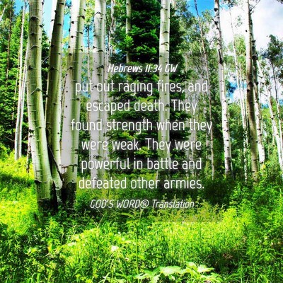 Picture 04 - Hebrews 11:34 GW - put out raging fires, and escaped death. They - Bible Verse Picture
