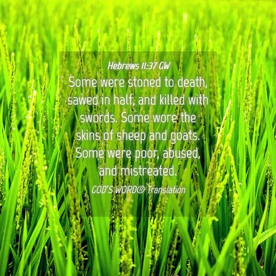 Picture 04 - Hebrews 11:37 GW - Some were stoned to death, sawed in half, and - Bible Verse Picture
