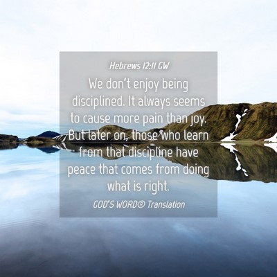 Picture 04 - Hebrews 12:11 GW - We don’t enjoy being disciplined. It always - Bible Verse Picture