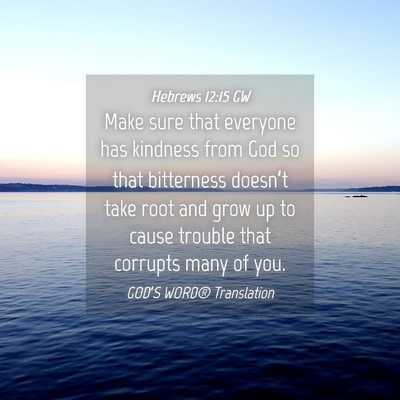Picture 04 - Hebrews 12:15 GW - Make sure that everyone has kindness from God so - Bible Verse Picture