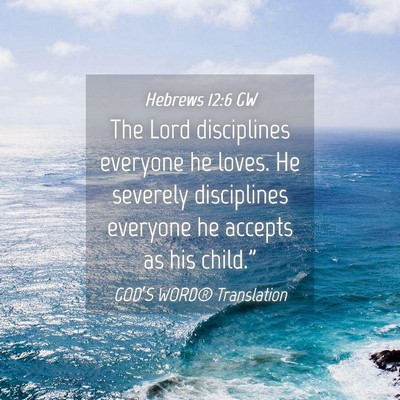 Picture 04 - Hebrews 12:6 GW - The Lord disciplines everyone he loves. He - Bible Verse Picture