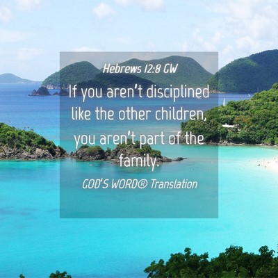 Picture 04 - Hebrews 12:8 GW - If you aren’t disciplined like the other - Bible Verse Picture