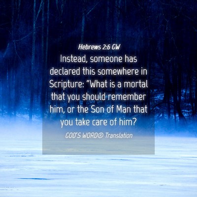 Picture 04 - Hebrews 2:6 GW - Instead, someone has declared this somewhere in - Bible Verse Picture