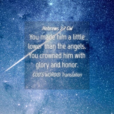 Picture 04 - Hebrews 2:7 GW - You made him a little lower than the angels. You - Bible Verse Picture