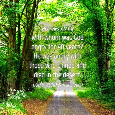 Picture 04 - Hebrews 3:17 GW - With whom was God angry for 40 years? He was - Bible Verse Picture