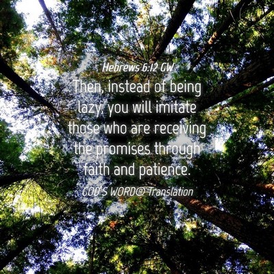 Picture 04 - Hebrews 6:12 GW - Then, instead of being lazy, you will imitate - Bible Verse Picture