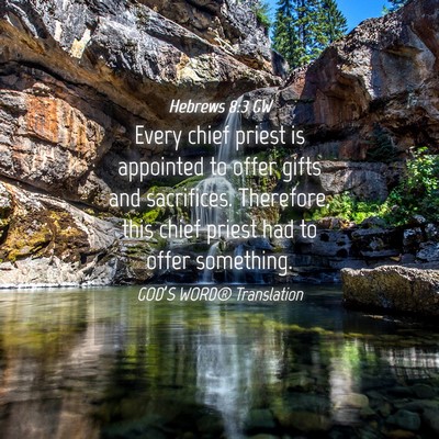 Picture 04 - Hebrews 8:3 GW - Every chief priest is appointed to offer gifts - Bible Verse Picture