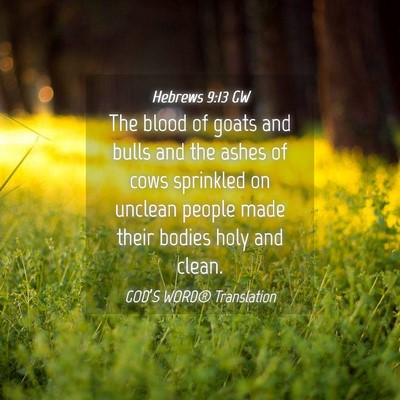 Picture 04 - Hebrews 9:13 GW - The blood of goats and bulls and the ashes of - Bible Verse Picture