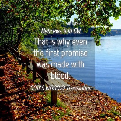 Picture 04 - Hebrews 9:18 GW - That is why even the first promise was made with - Bible Verse Picture