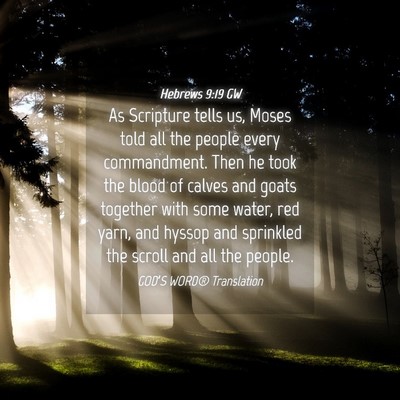 Picture 04 - Hebrews 9:19 GW - As Scripture tells us, Moses told all the people - Bible Verse Picture