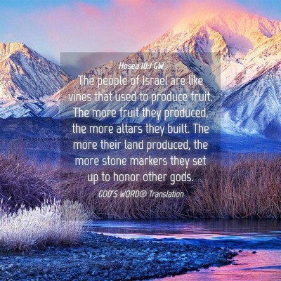 Picture 04 - Hosea 10:1 GW - The people of Israel are like vines that used to - Bible Verse Picture