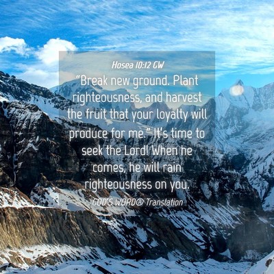 Picture 04 - Hosea 10:12 GW - “Break new ground. Plant righteousness, and - Bible Verse Picture