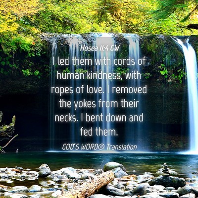 Picture 04 - Hosea 11:4 GW - I led them with cords of human kindness, with - Bible Verse Picture