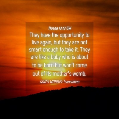 Picture 04 - Hosea 13:13 GW - They have the opportunity to live again, but they - Bible Verse Picture