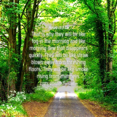 Picture 04 - Hosea 13:3 GW - That is why they will be like fog in the morning - Bible Verse Picture