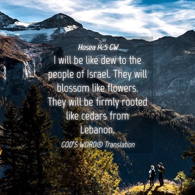 Picture 04 - Hosea 14:5 GW - I will be like dew to the people of Israel. They - Bible Verse Picture