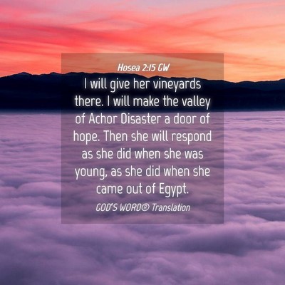 Picture 04 - Hosea 2:15 GW - I will give her vineyards there. I will make the - Bible Verse Picture