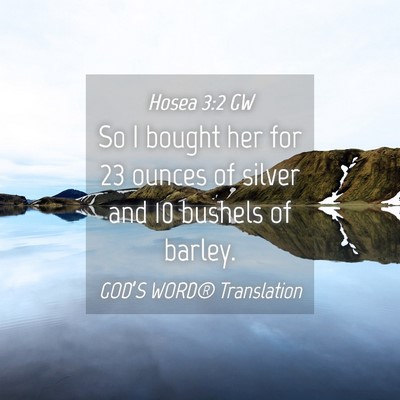 Picture 04 - Hosea 3:2 GW - So I bought her for 23 ounces of silver and 10 - Bible Verse Picture