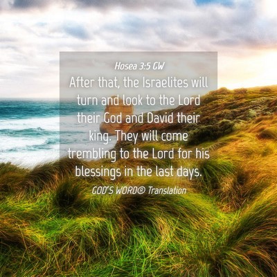 Picture 04 - Hosea 3:5 GW - After that, the Israelites will turn and look to - Bible Verse Picture