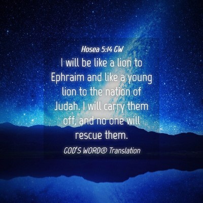 Picture 04 - Hosea 5:14 GW - I will be like a lion to Ephraim and like a young - Bible Verse Picture