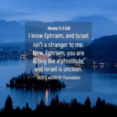 Picture 04 - Hosea 5:3 GW - I know Ephraim, and Israel isn’t a stranger to - Bible Verse Picture