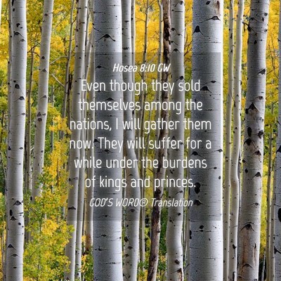 Picture 04 - Hosea 8:10 GW - Even though they sold themselves among the - Bible Verse Picture