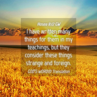 Picture 04 - Hosea 8:12 GW - I have written many things for them in my - Bible Verse Picture