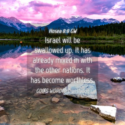 Picture 04 - Hosea 8:8 GW - Israel will be swallowed up. It has already mixed - Bible Verse Picture