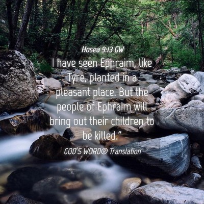 Picture 04 - Hosea 9:13 GW - I have seen Ephraim, like Tyre, planted in a - Bible Verse Picture