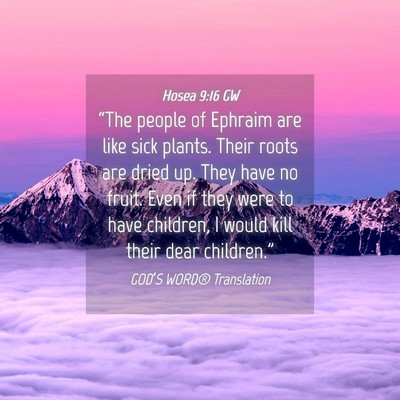 Picture 04 - Hosea 9:16 GW - “The people of Ephraim are like sick plants. - Bible Verse Picture