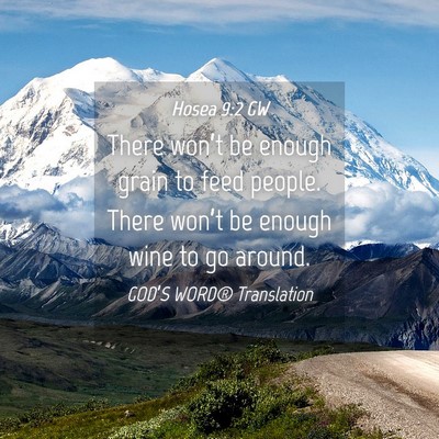 Picture 04 - Hosea 9:2 GW - There won’t be enough grain to feed people. - Bible Verse Picture