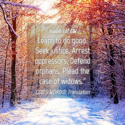 Picture 04 - Isaiah 1:17 GW - Learn to do good. Seek justice. Arrest - Bible Verse Picture