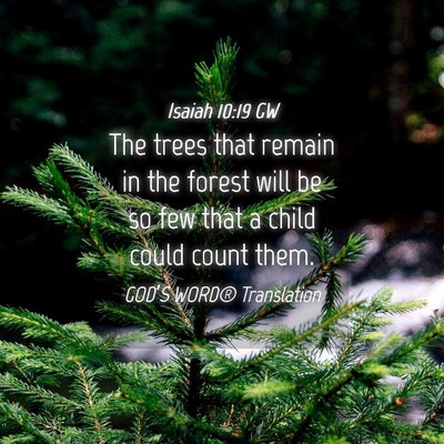 Picture 04 - Isaiah 10:19 GW - The trees that remain in the forest will be so - Bible Verse Picture