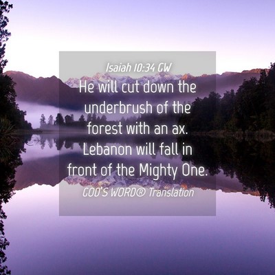 Picture 04 - Isaiah 10:34 GW - He will cut down the underbrush of the forest - Bible Verse Picture