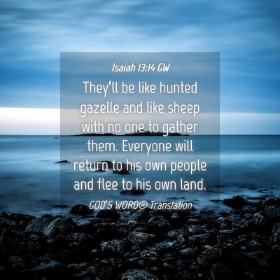 Picture 04 - Isaiah 13:14 GW - They’ll be like hunted gazelle and like sheep - Bible Verse Picture