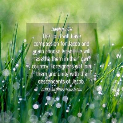 Picture 04 - Isaiah 14:1 GW - The Lord will have compassion for Jacob and again - Bible Verse Picture