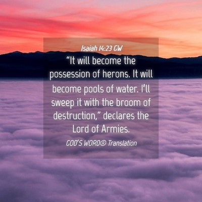 Picture 04 - Isaiah 14:23 GW - “It will become the possession of herons. It - Bible Verse Picture