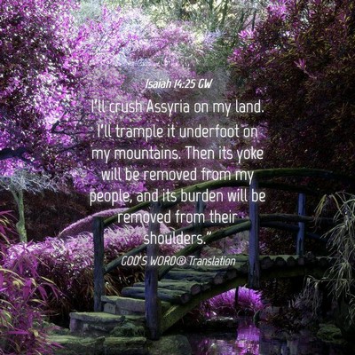 Picture 04 - Isaiah 14:25 GW - I’ll crush Assyria on my land. I’ll trample - Bible Verse Picture