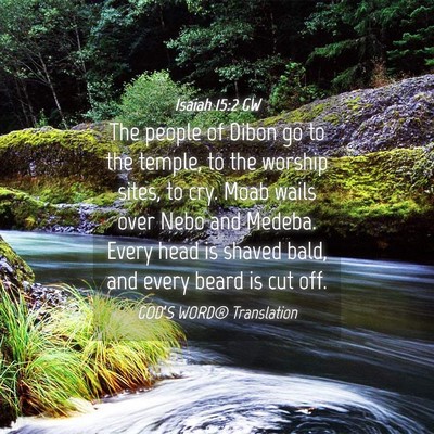 Picture 04 - Isaiah 15:2 GW - The people of Dibon go to the temple, to the - Bible Verse Picture