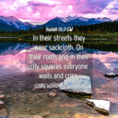 Picture 04 - Isaiah 15:3 GW - In their streets they wear sackcloth. On their - Bible Verse Picture