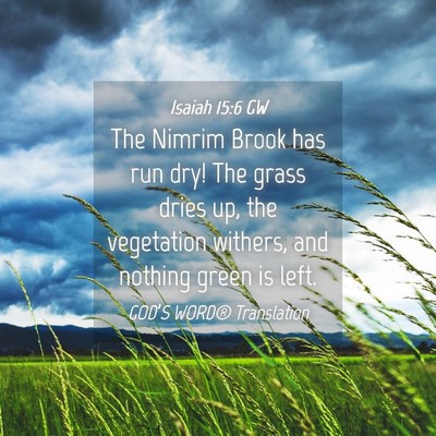 Picture 04 - Isaiah 15:6 GW - The Nimrim Brook has run dry! The grass dries up, - Bible Verse Picture
