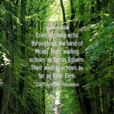 Picture 04 - Isaiah 15:8 GW - Cries for help echo throughout the land of Moab. - Bible Verse Picture