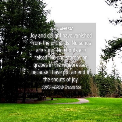 Picture 04 - Isaiah 16:10 GW - Joy and delight have vanished from the orchards. - Bible Verse Picture