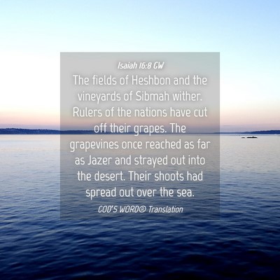 Picture 04 - Isaiah 16:8 GW - The fields of Heshbon and the vineyards of Sibmah - Bible Verse Picture