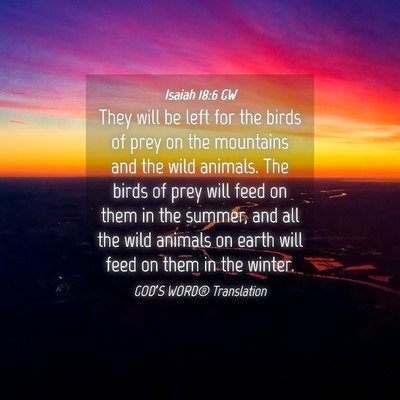 Picture 04 - Isaiah 18:6 GW - They will be left for the birds of prey on the - Bible Verse Picture